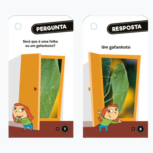 Abremente Pocket Quiz 6-9 Anos - Livro Educativo Catapulta - Ioiô de Pano  Brinquedos Educativos